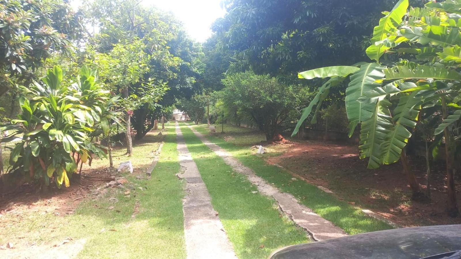 Flor De Jabuticabeira Hostel Jaguariuna Ngoại thất bức ảnh